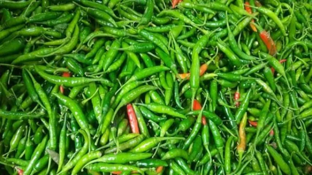 ৯ মাস পর ভোমরা বন্দর দিয়ে এলো ১০০ টন ভারতীয় কাঁচামরিচ